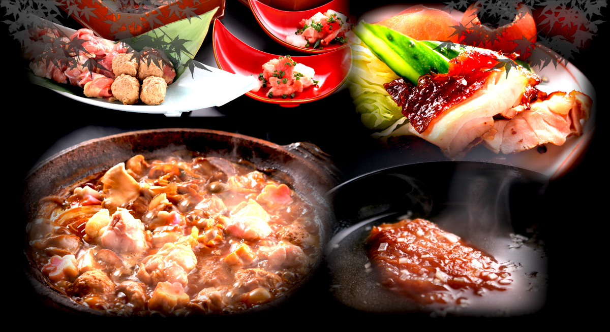 bg_top06.jpg 名古屋コーチンの料理写真