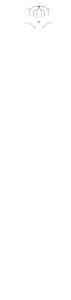 お飲物　Drink